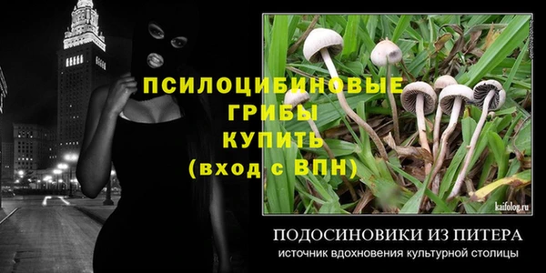 мет Верхний Тагил